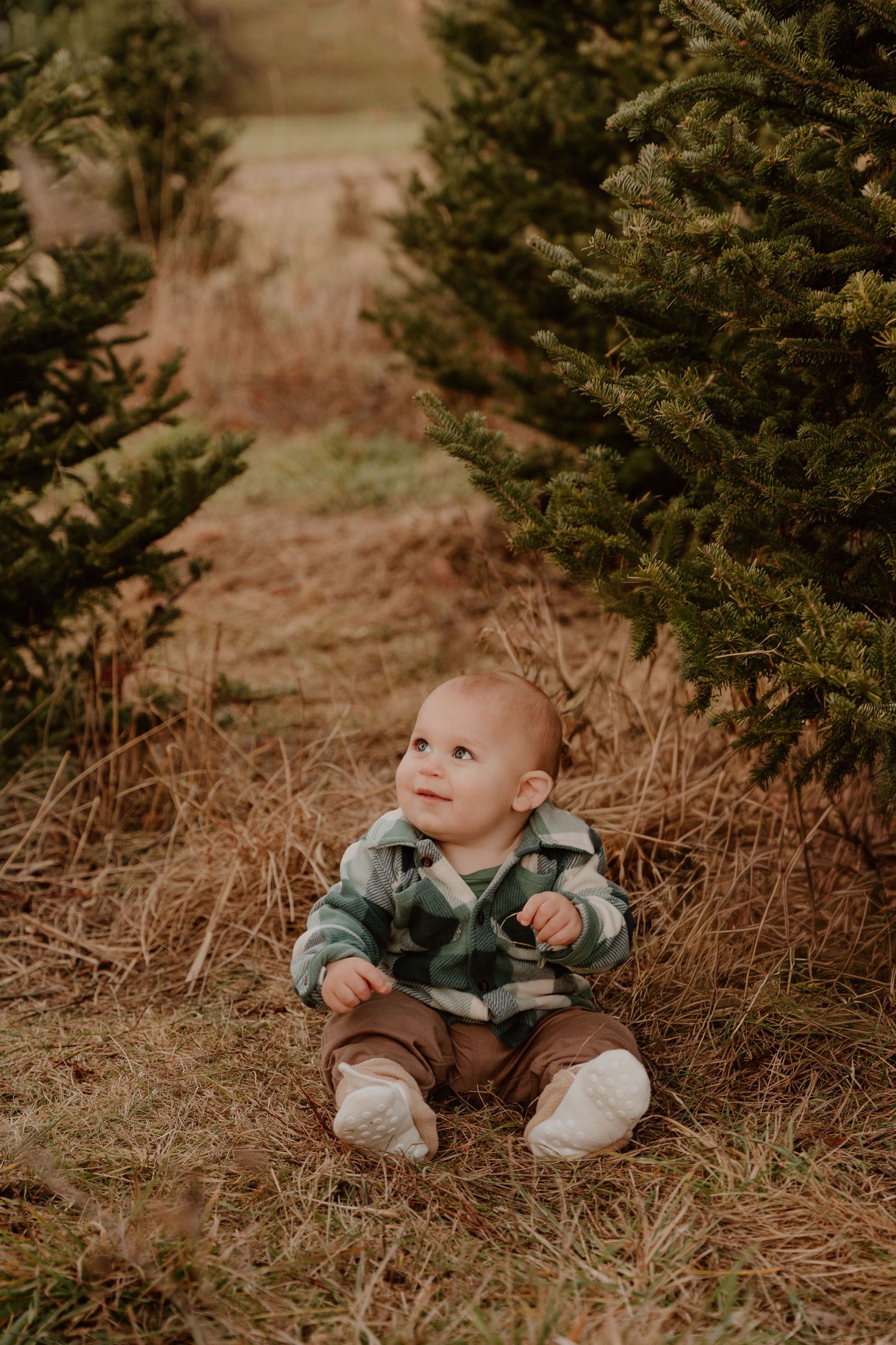 Small figure in plaid flannel and brown pants sits among evergreen trees on autumn ground at sunset.