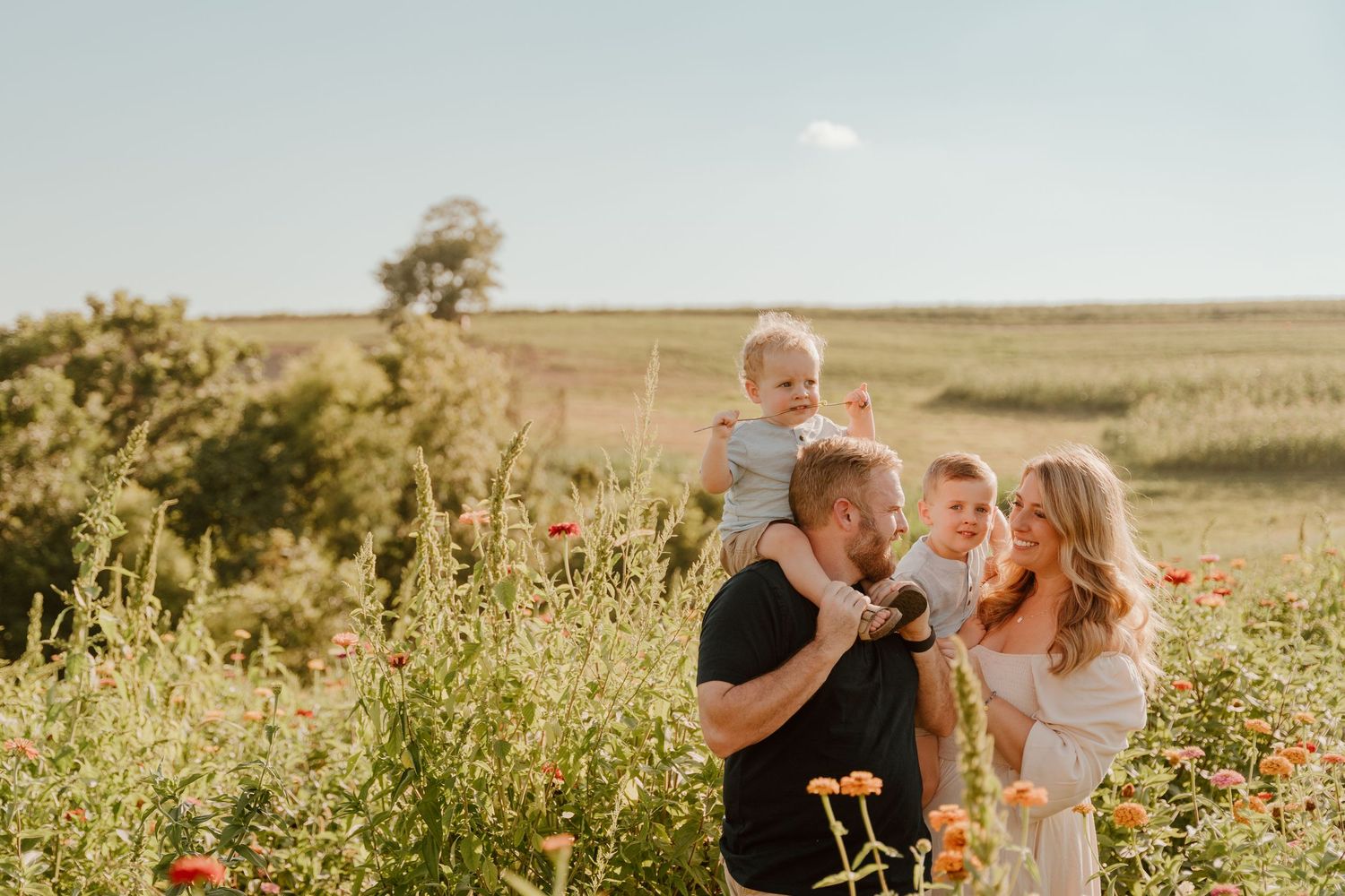 Family of four with two toddlers posing in a sunny wildflower field, smiling and enjoying a warm summer day outdoors.