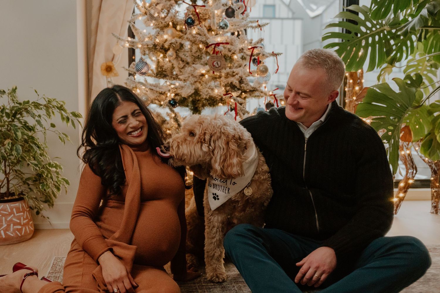 A collection of intimate engagement photos showing a couple sharing tender moments among indoor plants and autumn decor.