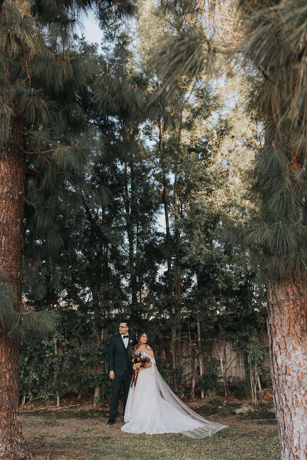 Elegant wedding portraits captured in a serene pine forest setting with soft natural lighting.