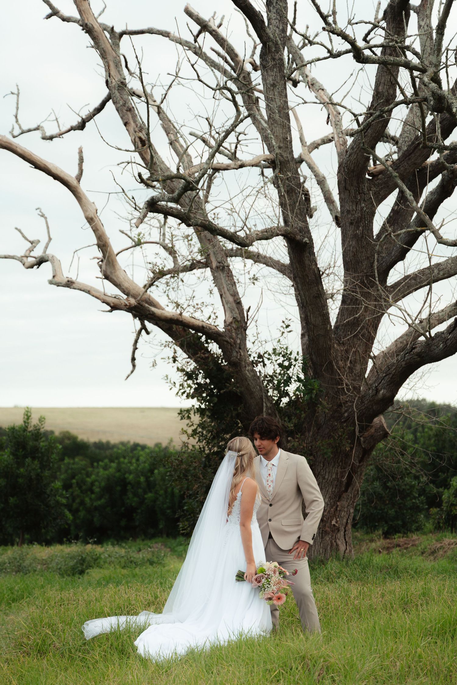 Bride and groom standing near a large tree in a grassy field, Western Cape wedding videographer