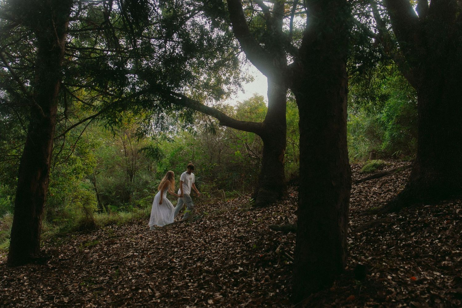 Wedding in johannesburg south africa
