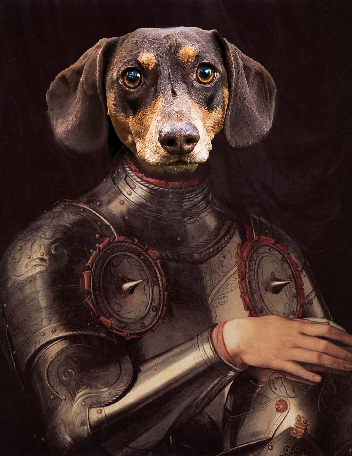 Custom pet art featuring a Dachshund head on a medieval knight’s suit of armor. Digitally enhanced by OC fine art pet photographer Anu Kalle