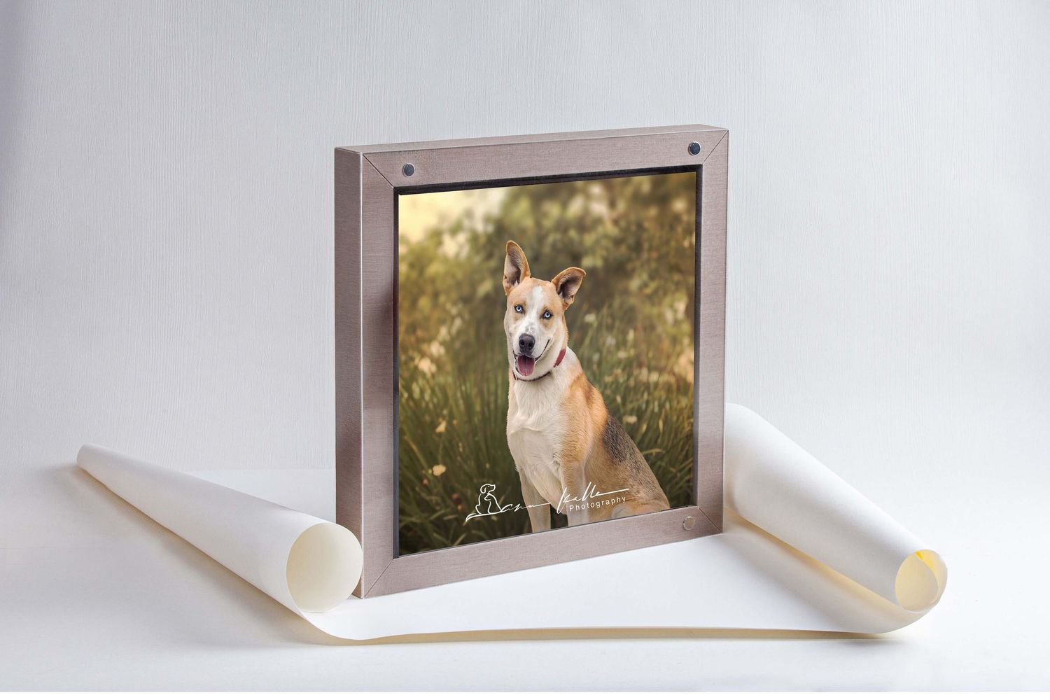 Square custom-framed pet portrait featuring a dog in a field, displayed as a luxury album product