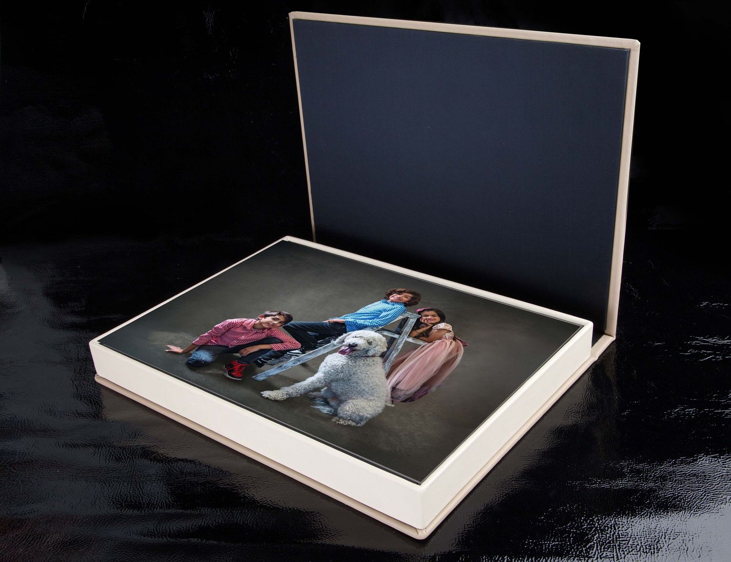 Luxury boutique pet photography albums and presentation boxes showcasing family and dog portraits.