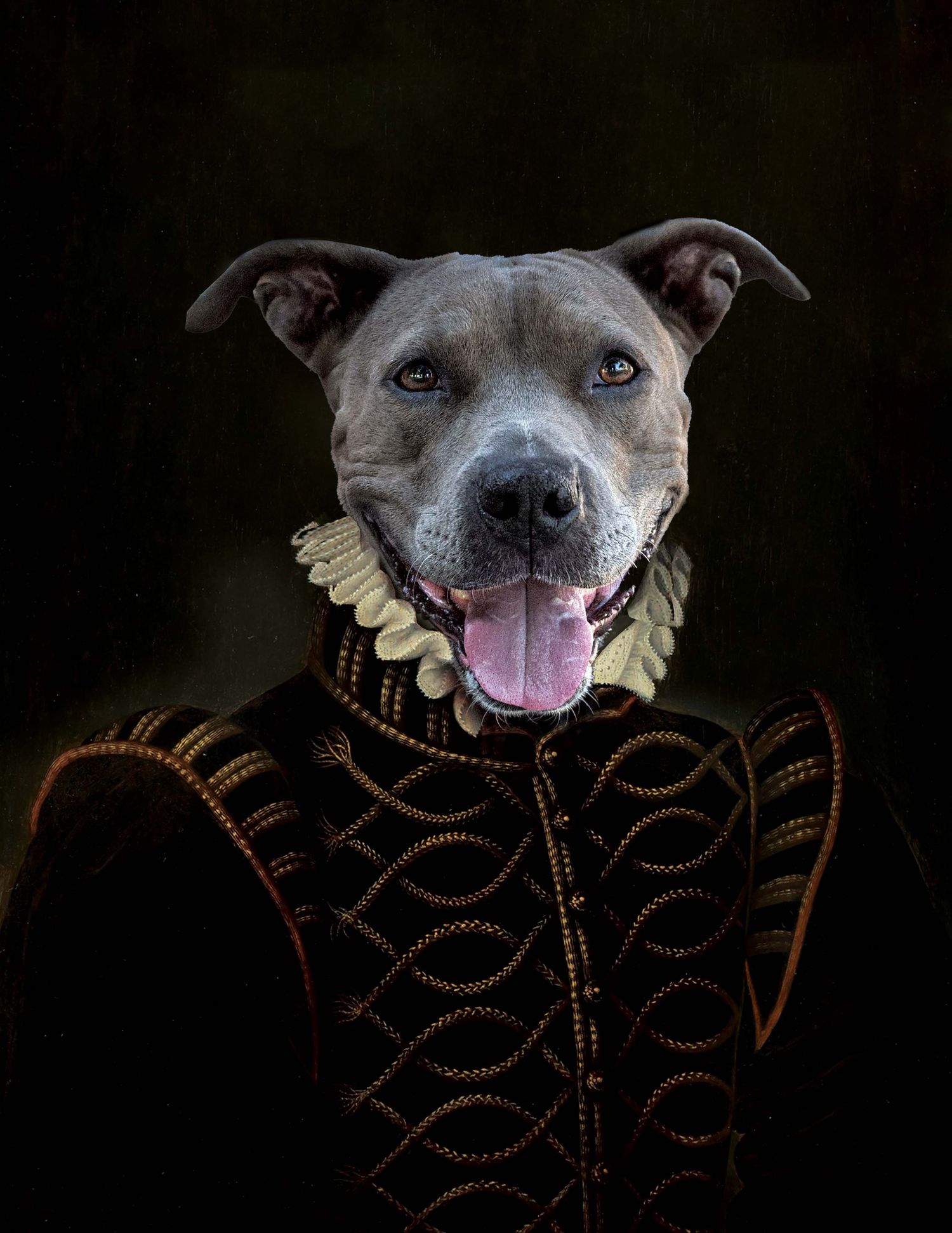 Elizabethan era portrait of a smiling pitbull dog wearing a ruffled lace collar and gold-embroidered doublet, professional pet photography.