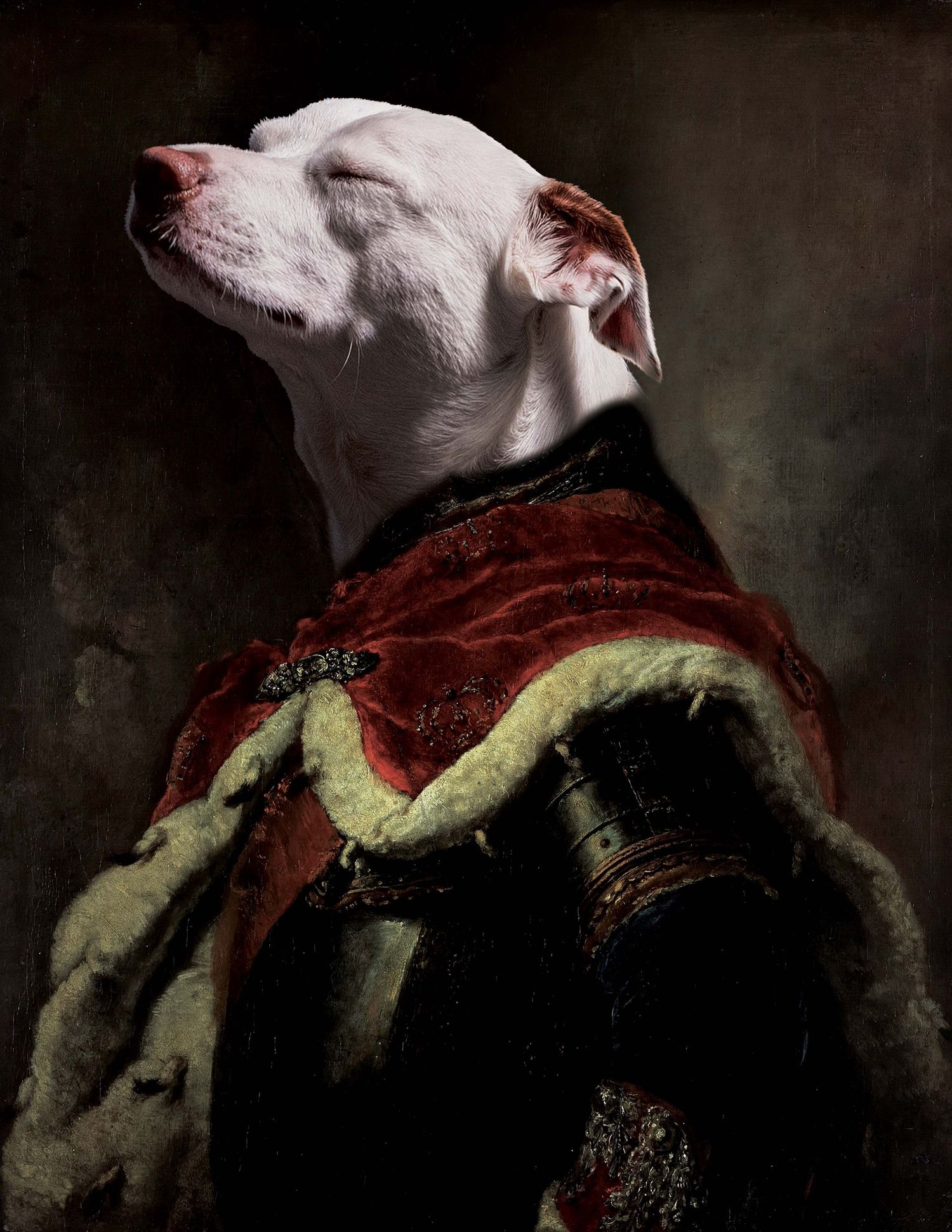 Regal custom pet portrait of a white dog with its eyes closed, composited onto a dark Renaissance-style backdrop with a fur-lined red cape.