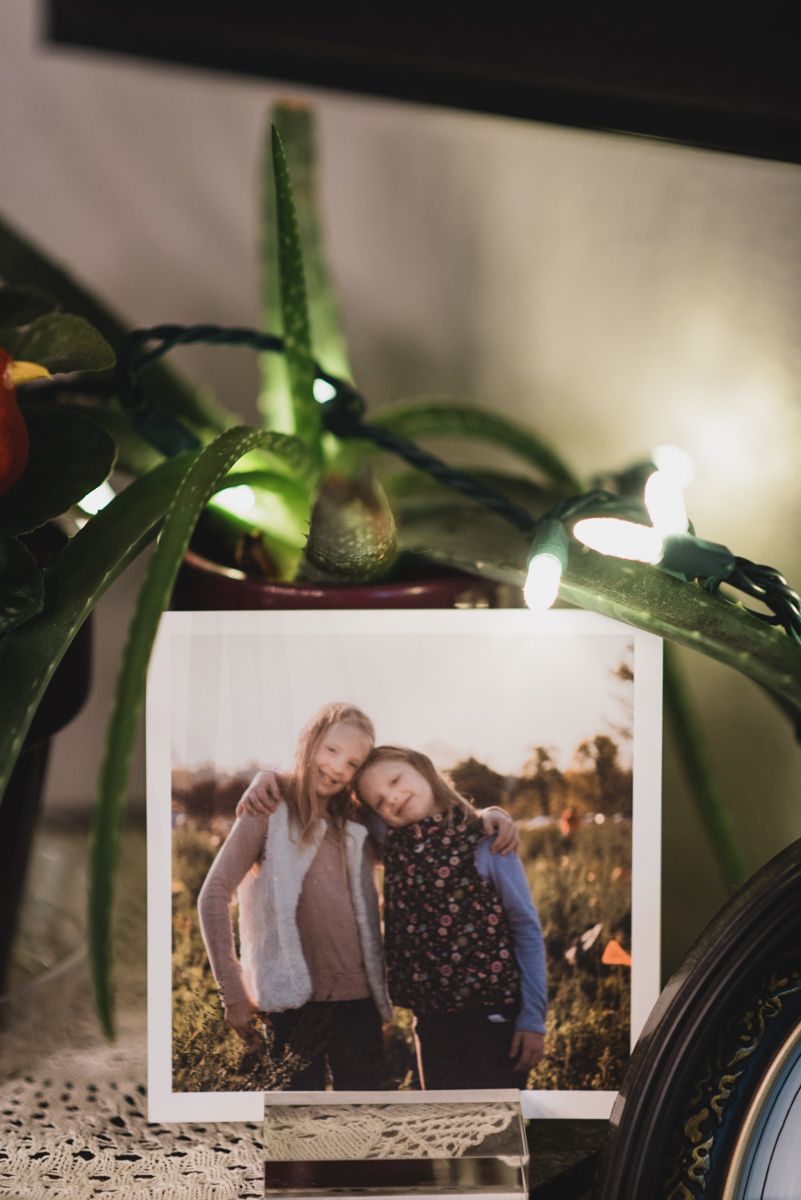 Framed photographs displayed among green plants and leaves.