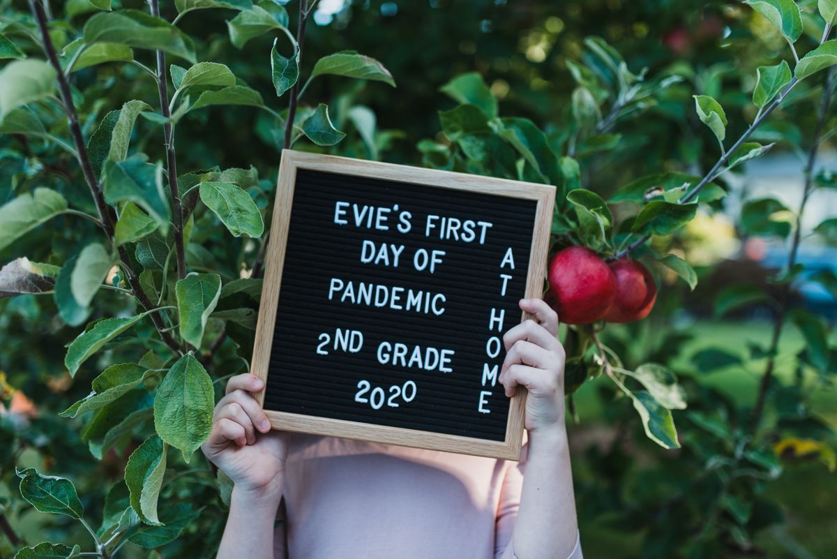 back to school sign held in apple tree