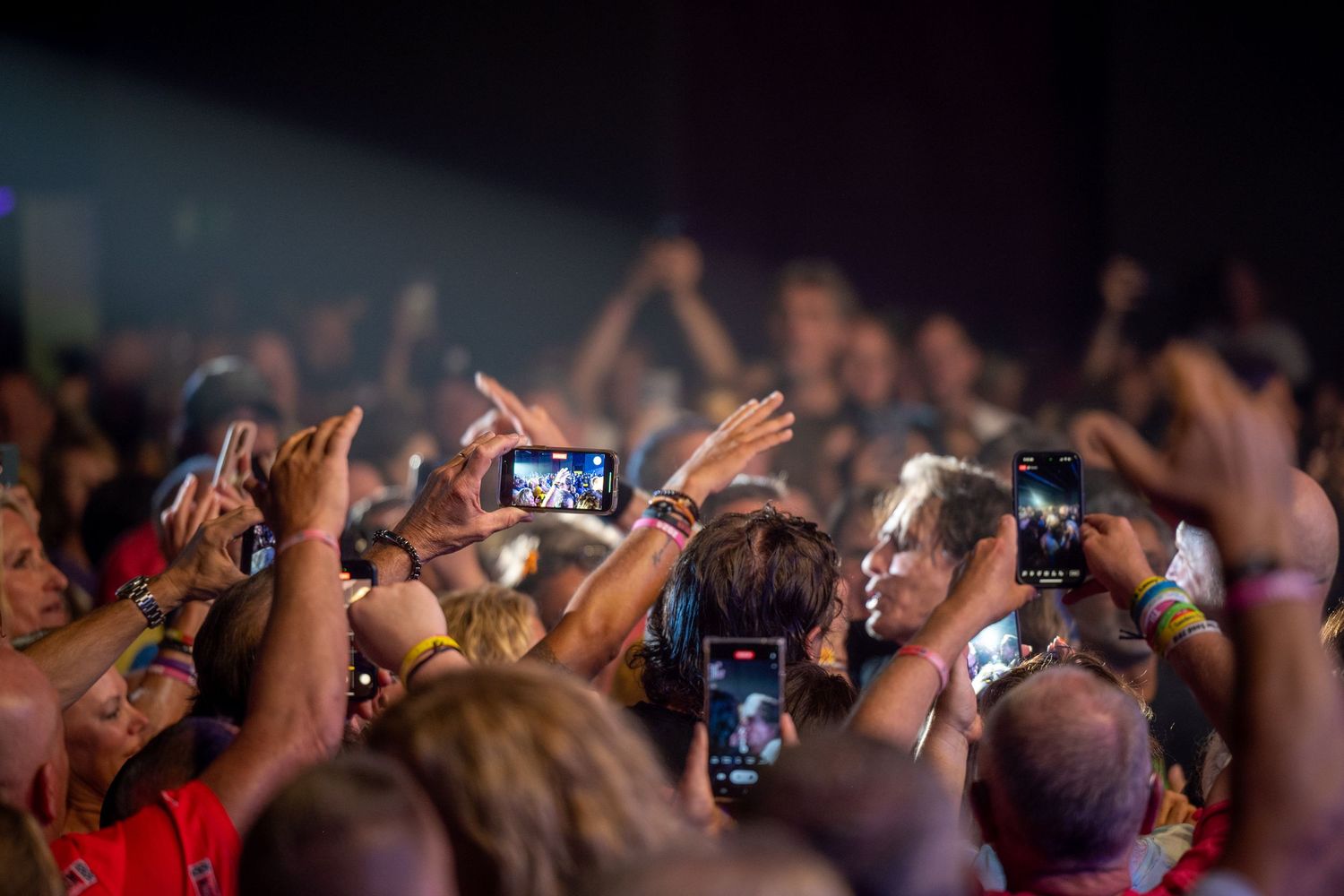 Concert photography - Rick Springfield