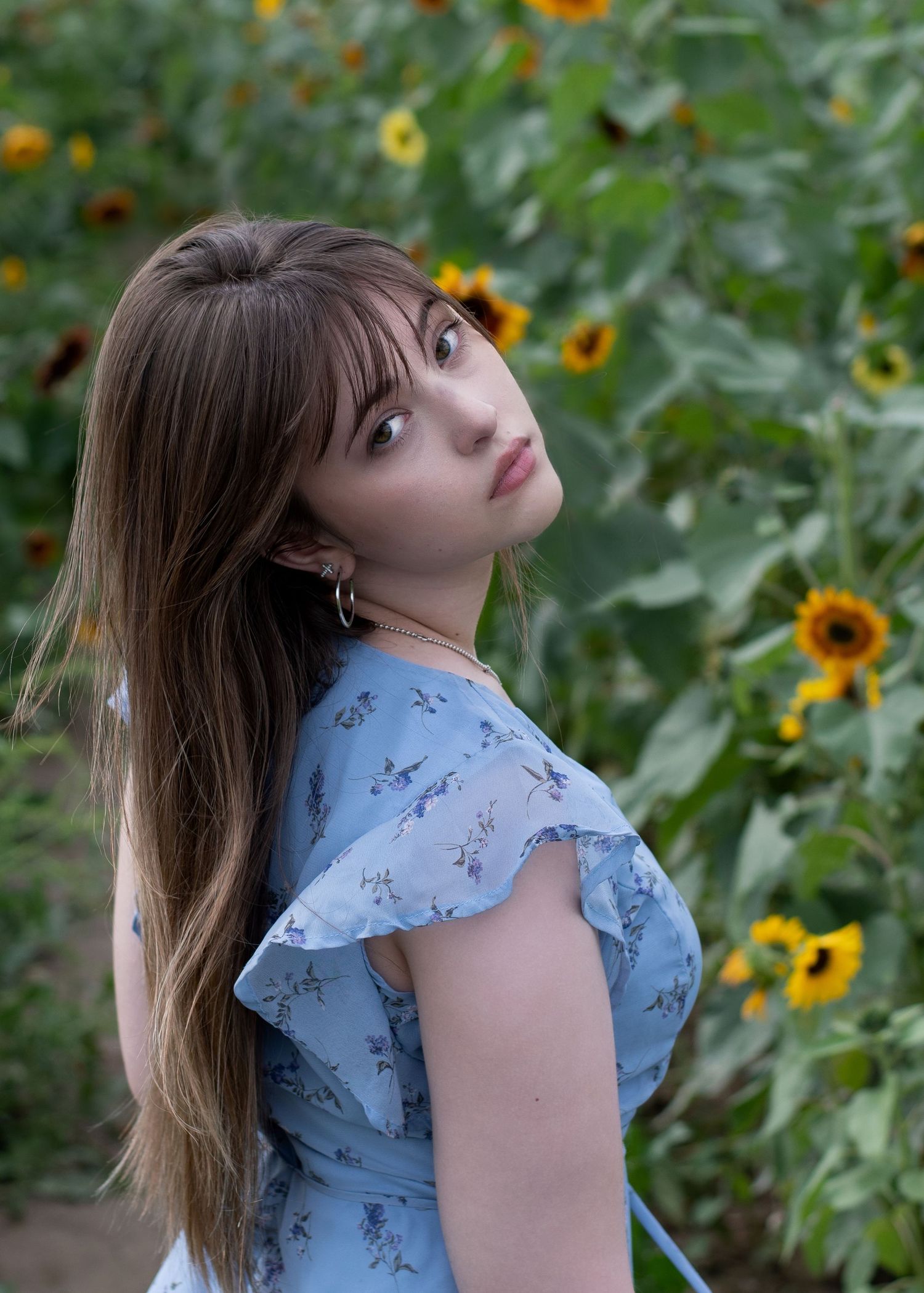 Sunflower portrait