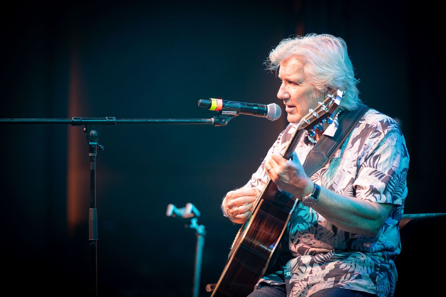 Concert photography - Rick Emmett