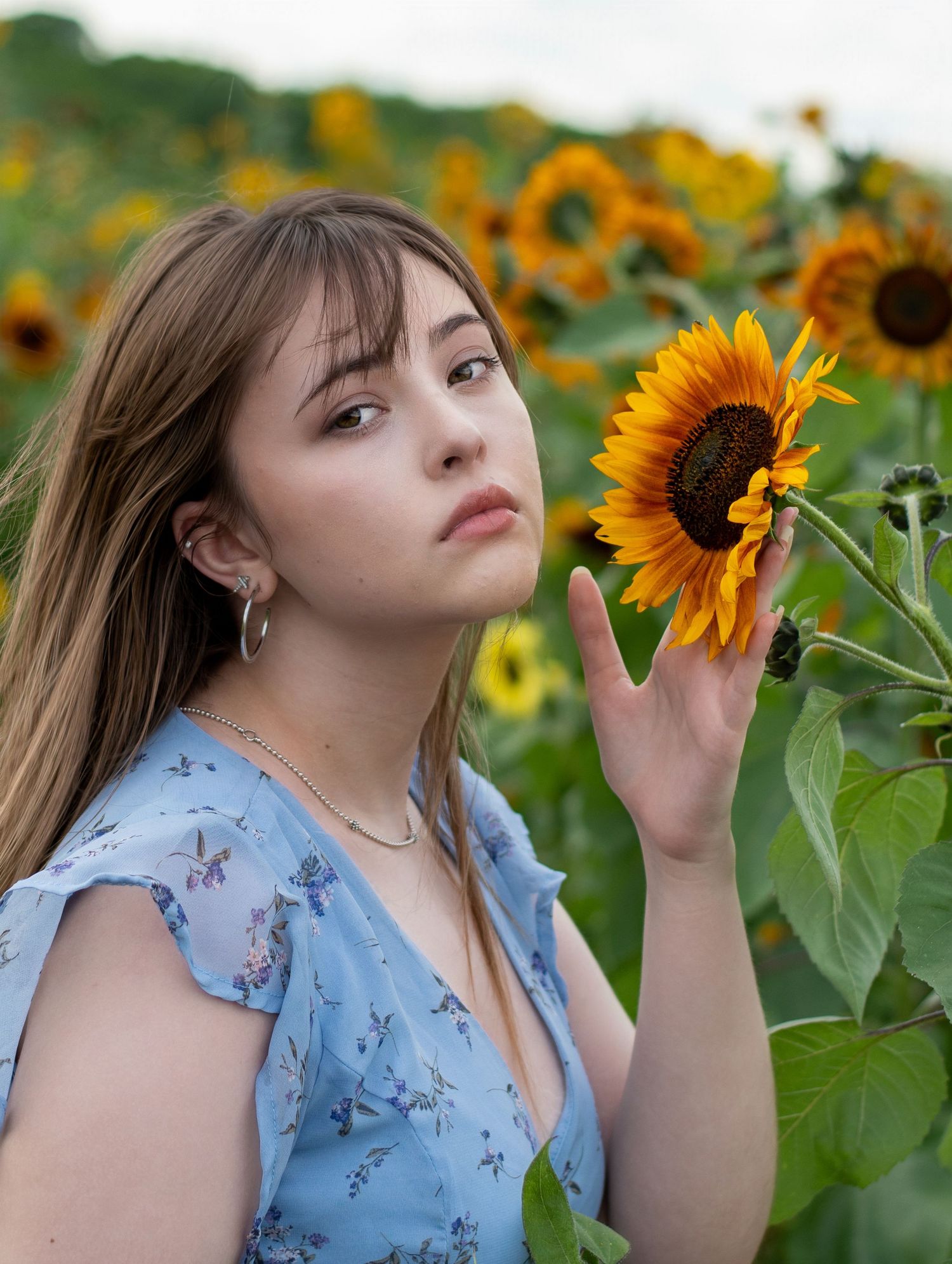 Sunflower portrait