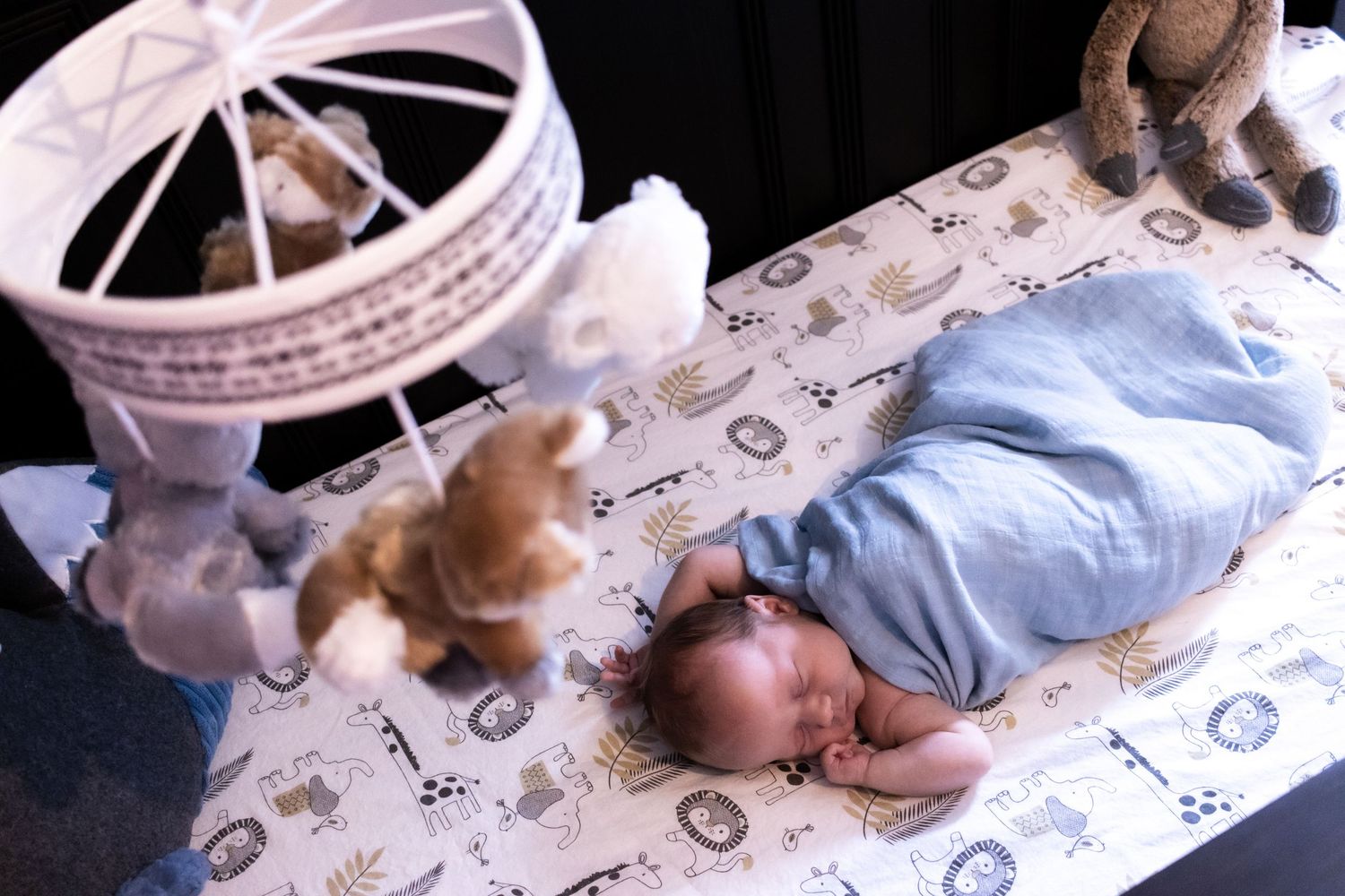 In home newborn photography