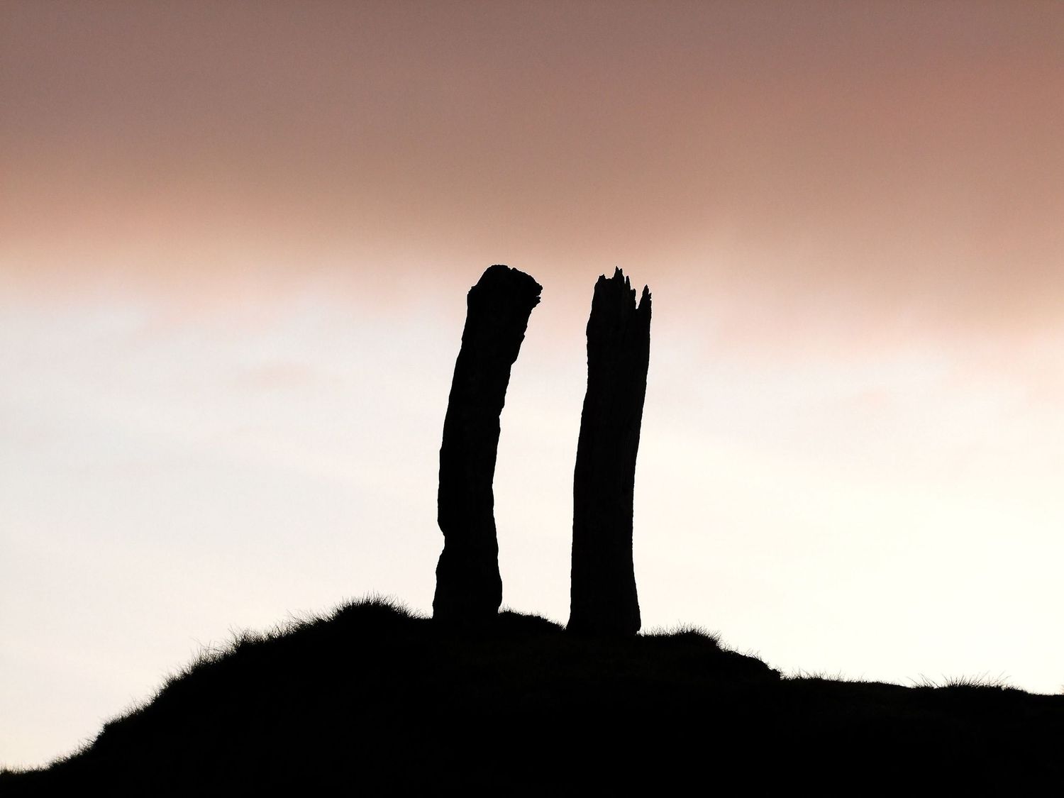 Photo minimaliste montrant la silhouette de deux troncs de bois sur une colline face à un ciel rose en Nouvelle-Zélande par Jérémie Botte.