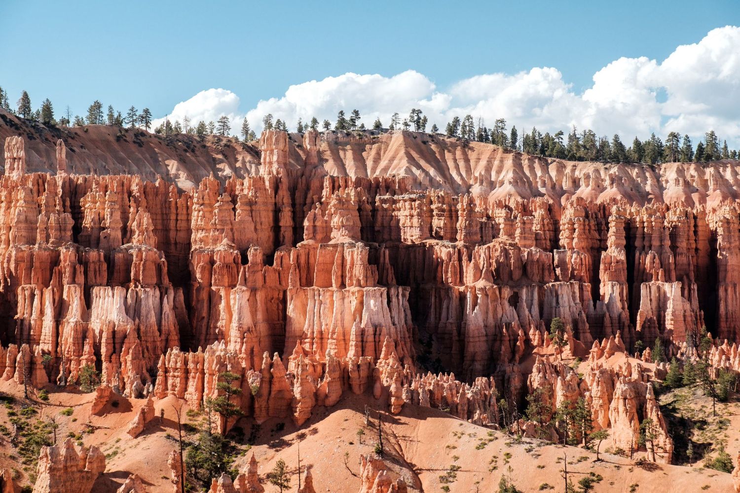 L'alignement spectaculaire des cheminées de fées de couleur ocre dans le canyon de Bryce National Park, par Jérémie Botte.