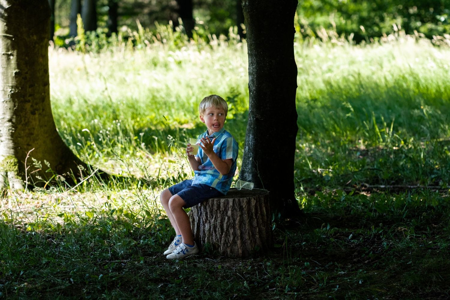 Un jeune garçon est assis sur une souche d'arbre au milieu des bois par une journée ensoleillée par Jérémie Botte.