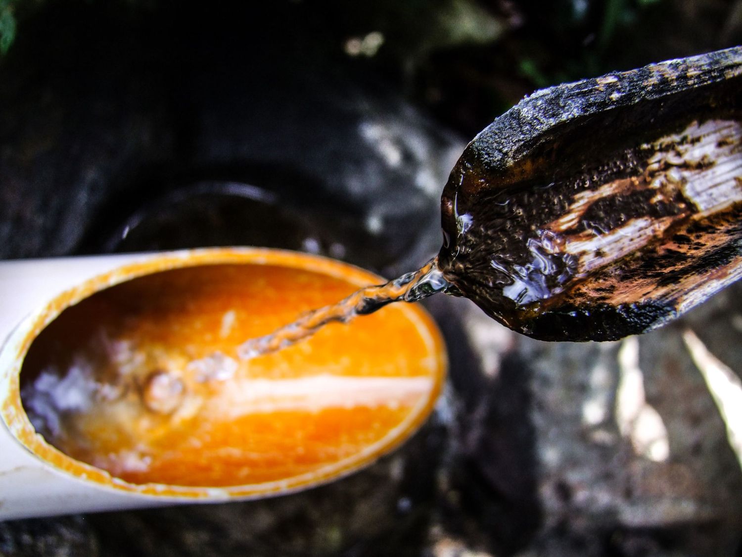 Gros plan sur de l'eau claire coulant d'une fontaine en bambou traditionnel par Jérémie Botte.