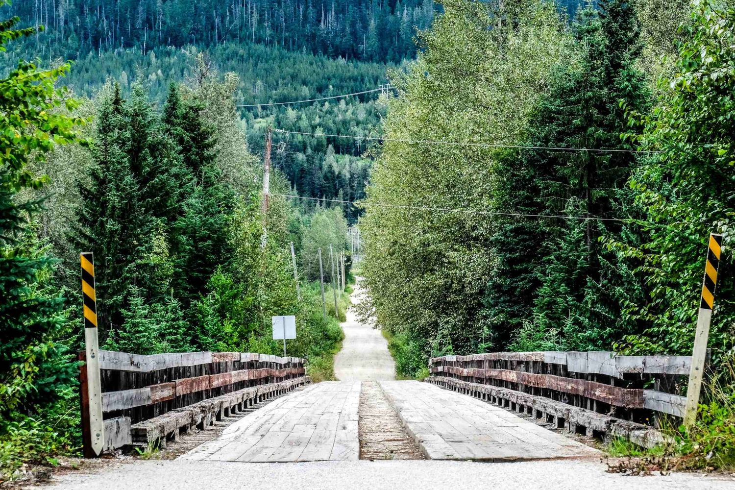 Photo de voyage au Canada montrant un pont en bois menant vers une route entourée d'une forêt de sapins par Jérémie Botte.