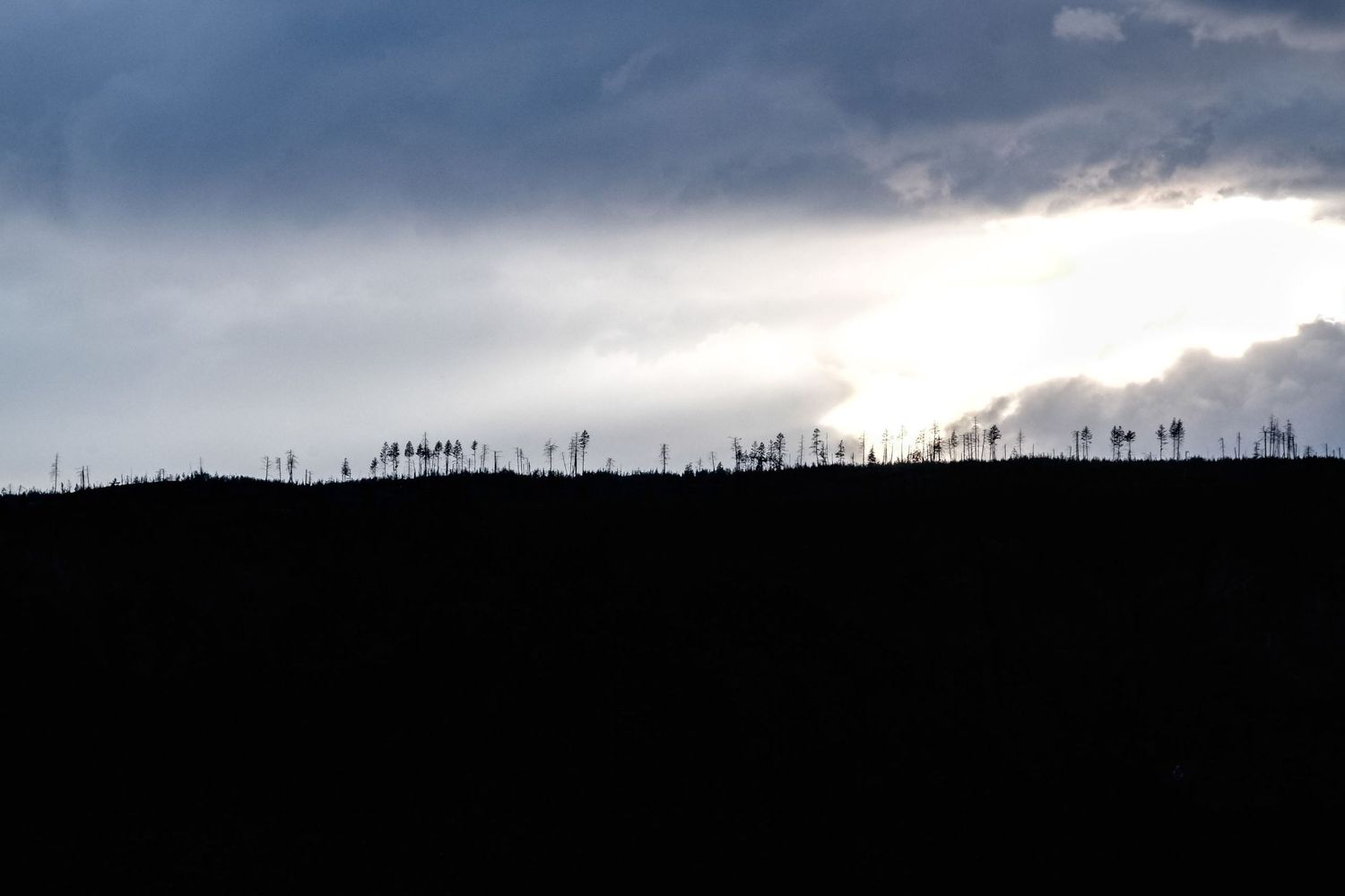 Photographie de voyage au Canada montrant la silhouette d'une forêt de sapins à l'horizon sous un ciel d'orage par Jérémie Botte