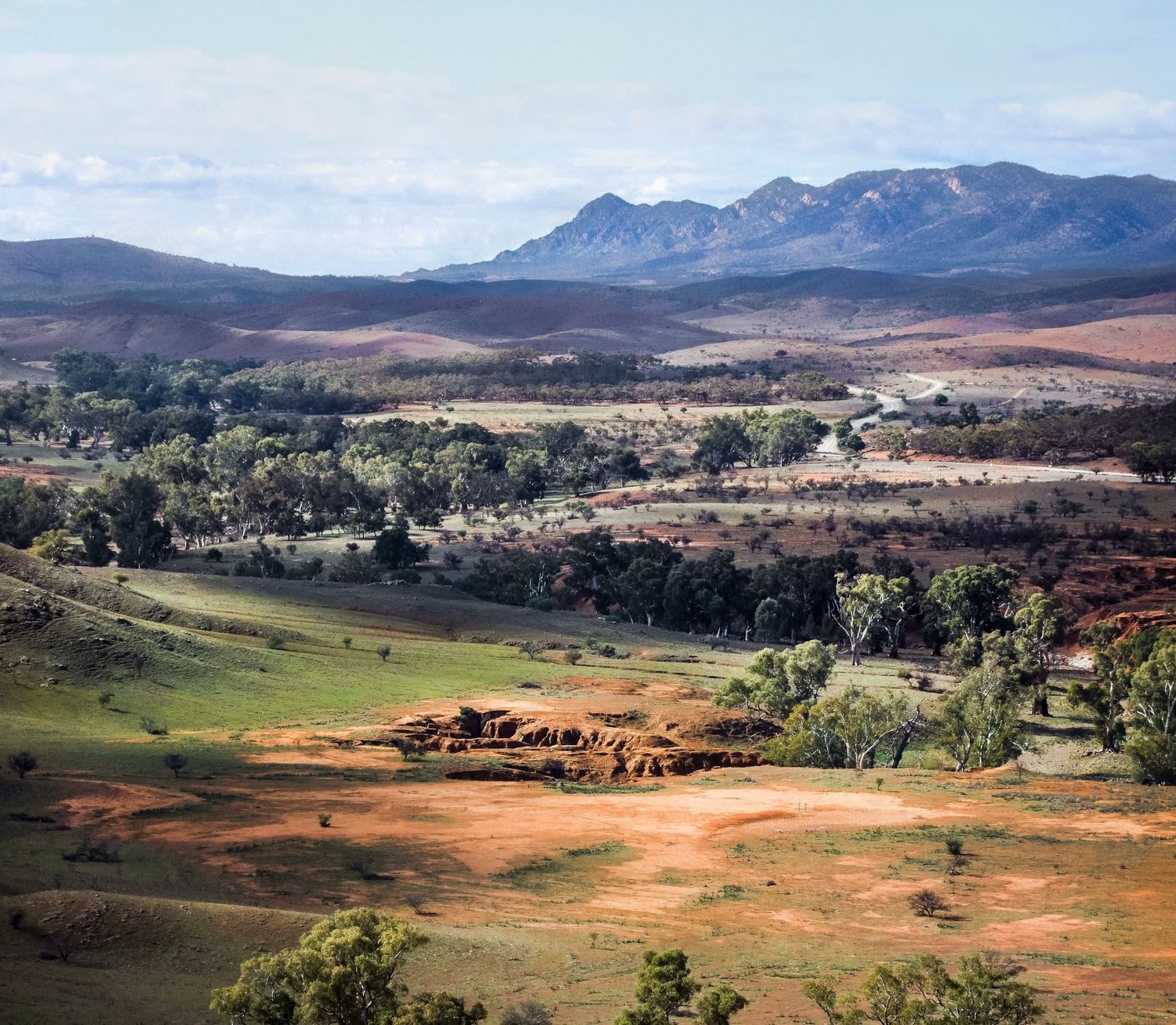 Paysage vallonné de l'Outback australien mêlant terre rouge et végétation éparse, par Jérémie Botte.