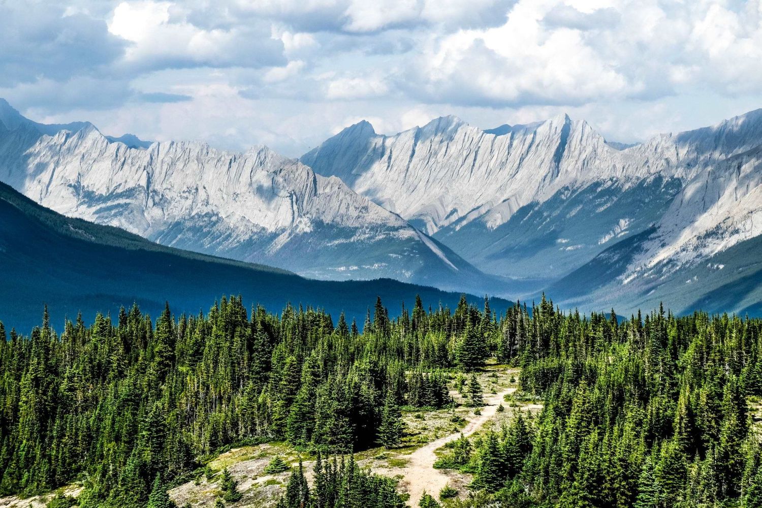 Photographie de paysage au Canada montrant une vaste forêt de sapins devant de majestueuses montagnes rocheuses par Jérémie Botte.