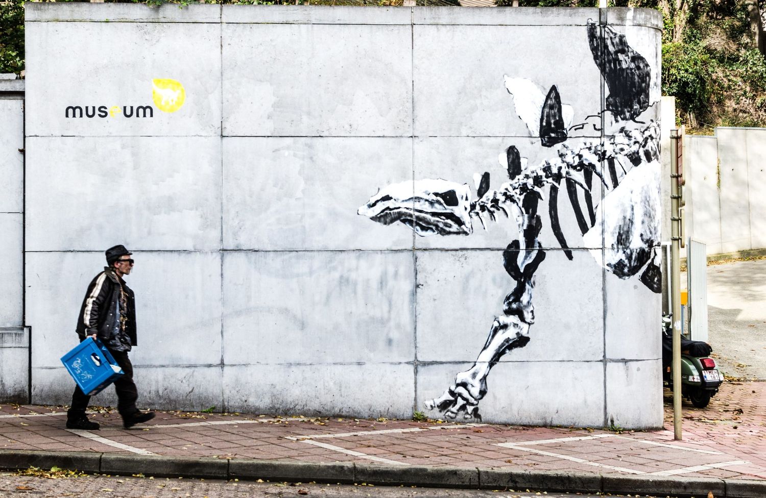 Un homme passe devant un mur blanc orné d’un grand graffiti de squelette de dinosaure et du mot museum par Jérémie Botte.