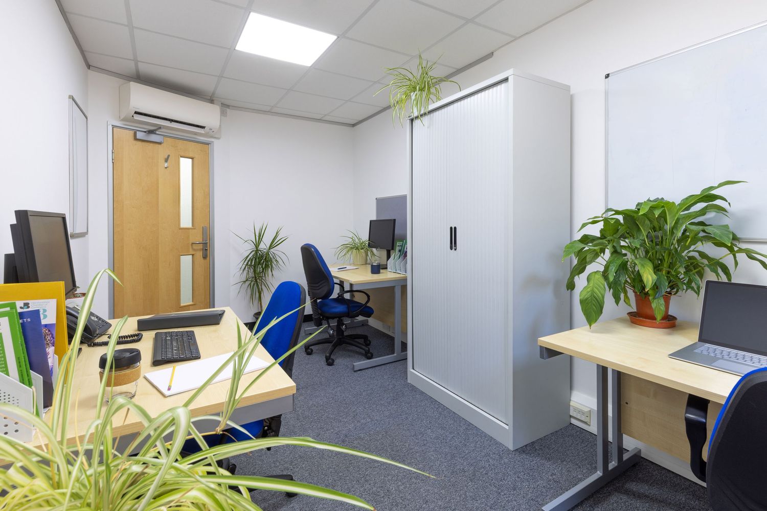 Modern small office space with blue chairs, green plants, gray partitions, and wooden desk under bright ceiling lights.