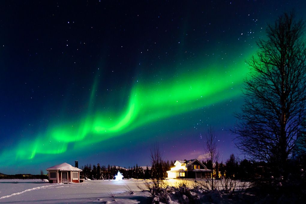Stunning green aurora borealis dances across dark night sky above silhouetted forest and snowy landscape in winter.