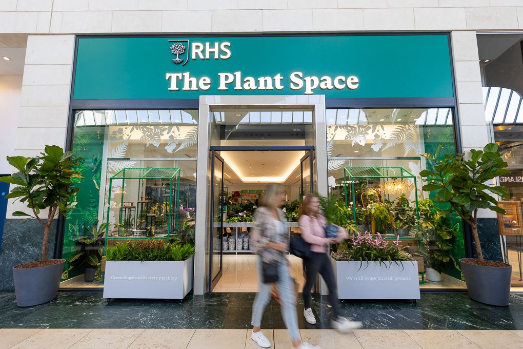 Lifestyle and retail photography of the RHS Plant Space at Bluewater, showing a modern plant store.
