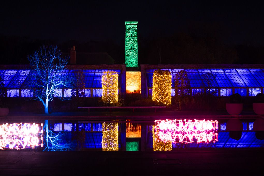 Colourful illuminated trees and buildings creating a vibrant nighttime display during the Glow event at RHS Bridgewater.