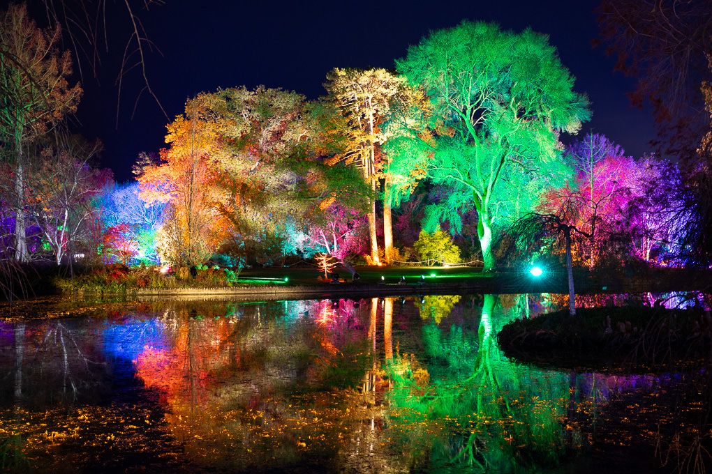 Colourfully illuminated trees reflected in still water during the nighttime light trail Glow event at RHS Wisley.