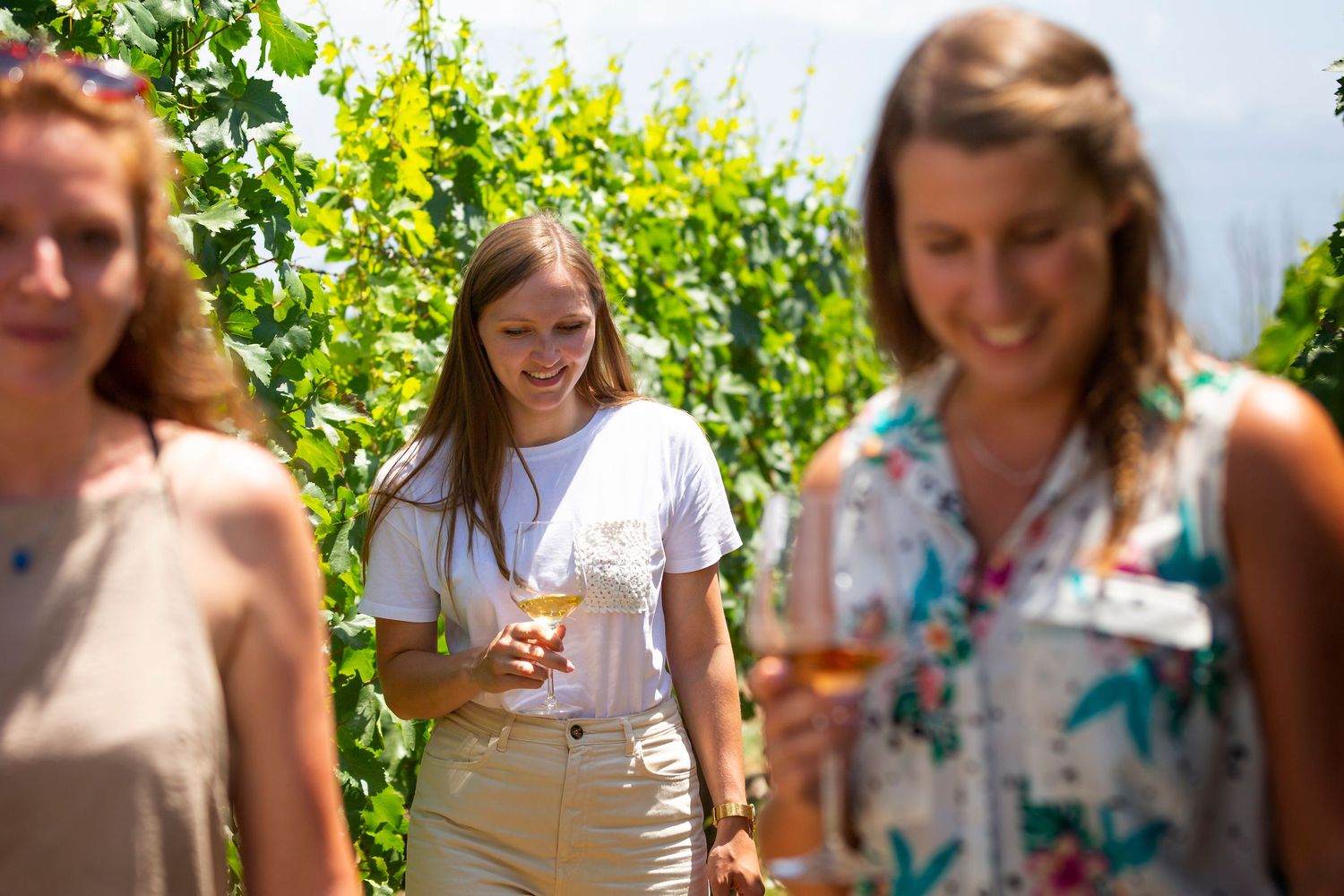 Three smiling women holding glasses of white wine while walking through a sunlit vineyard with green grapevines during a wine tasting.