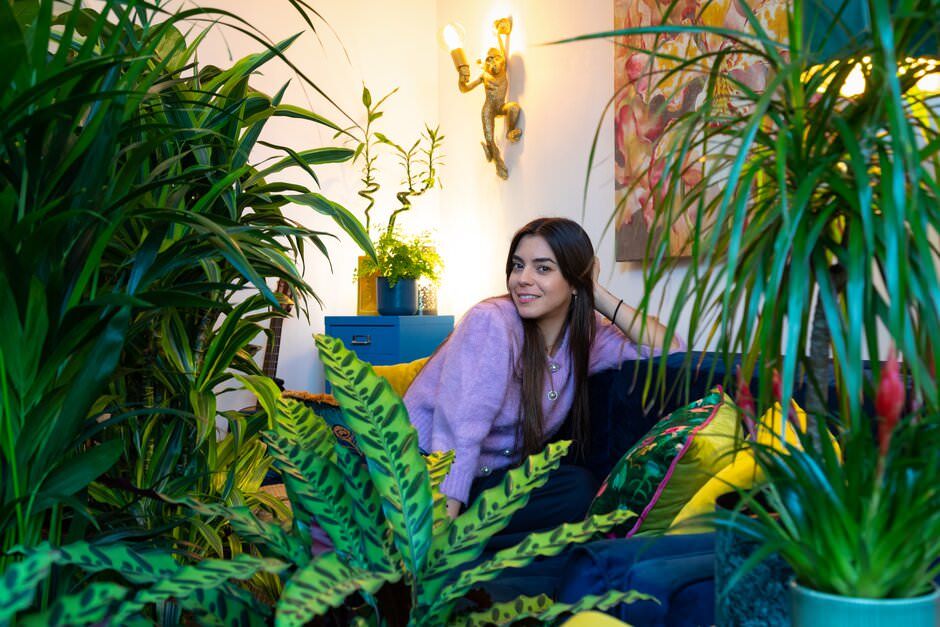A lifestyle shoot of a cosy indoor garden nook with lush tropical plants and warm lighting creates a peaceful atmosphere.