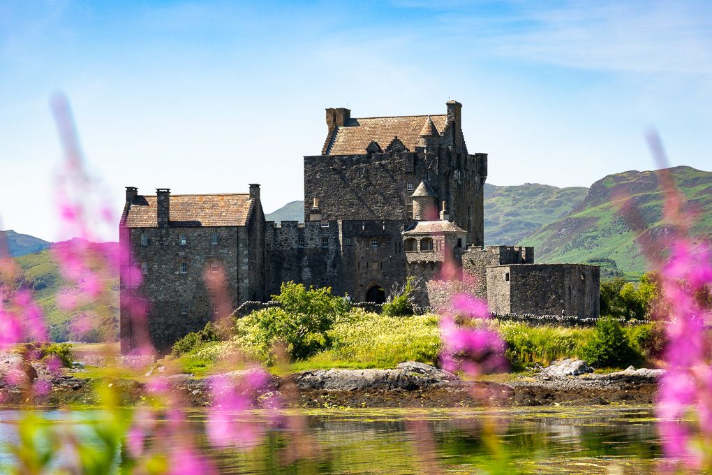 Historic Eilean Donan Castle stands majestically on a small island in Scotland, with pink wildflowers in the foreground.