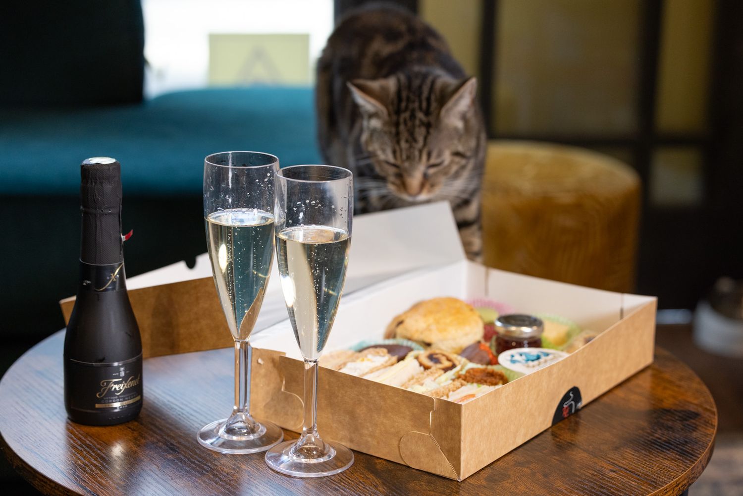 Cat Cafe: A long wooden table with staggered view of food takeout boxes, barware, and a curious cat peeking into frame at end.