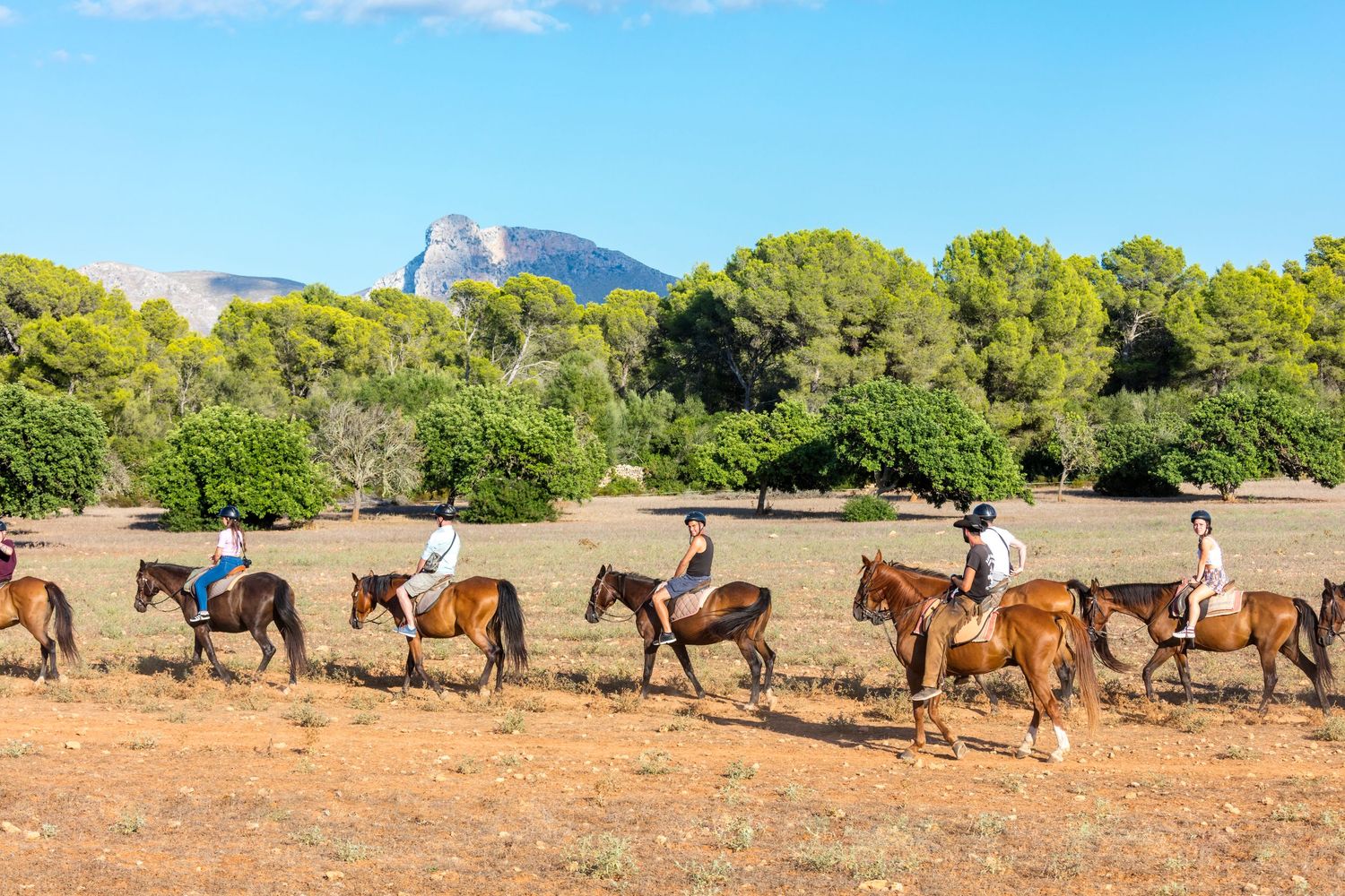 Group of riders on brown horses walking in single file across a dry dirt field with green trees and a rocky mountain under a clear blue sky.