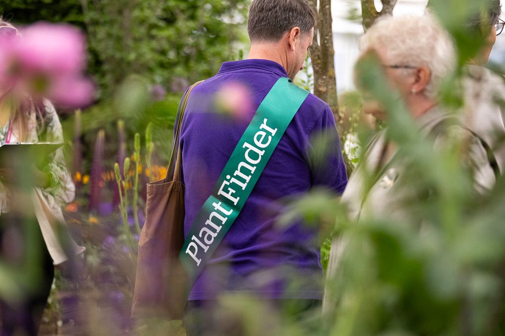 A volunteer in a purple shirt helps visitors at the RHS Chelsea Flower Show in London.