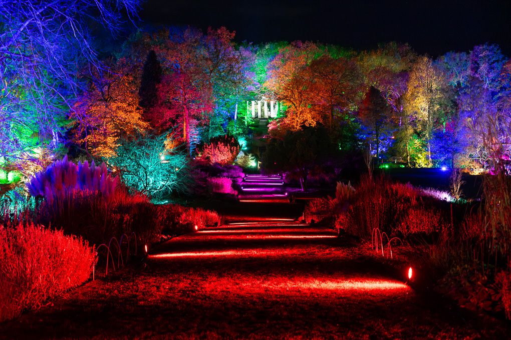 Colourful illuminated trees and pathways create a magical nighttime light trail display at the Glow event at RHS Harlow Carr, Harrogate.