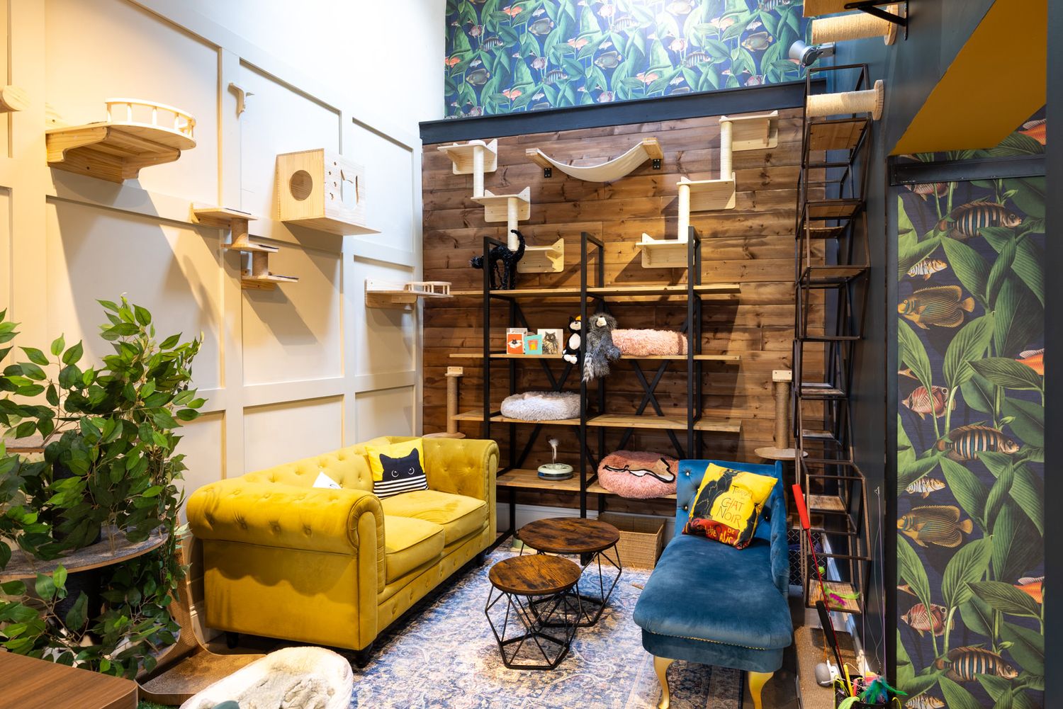 Modern cat cafe space interior features yellow sofa, blue accent chair, and indoor plants against brick wall decor.