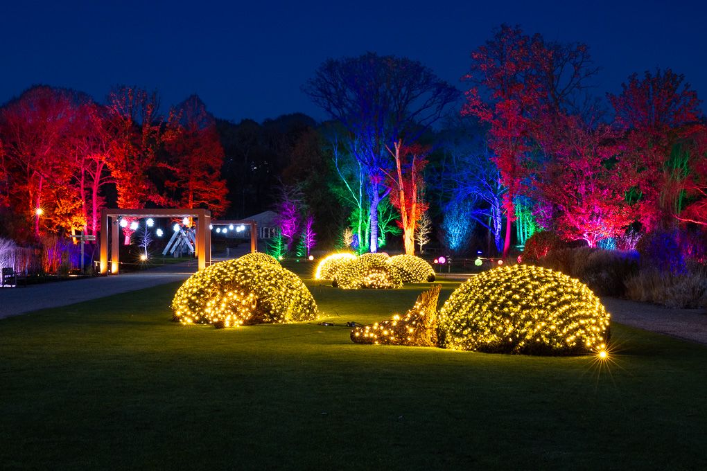 Illuminated garden display with glowing yellow arches and colourfully lit trees at night during the Glow event at RHS Bridgewater.