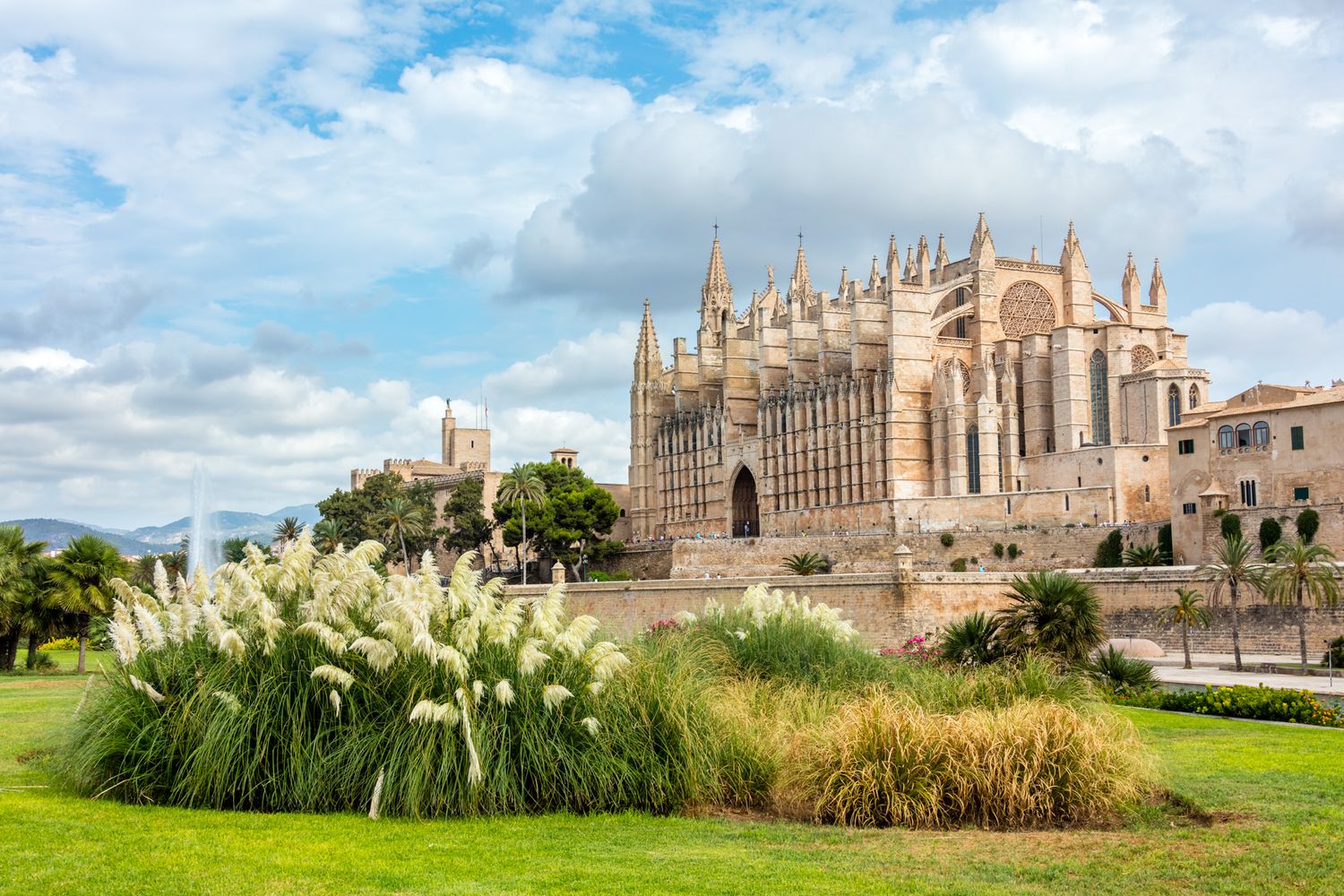 Gothic cathedral La Seu with ornate spires and white flowers in foreground garden in Palma de Mallorca, Spain.