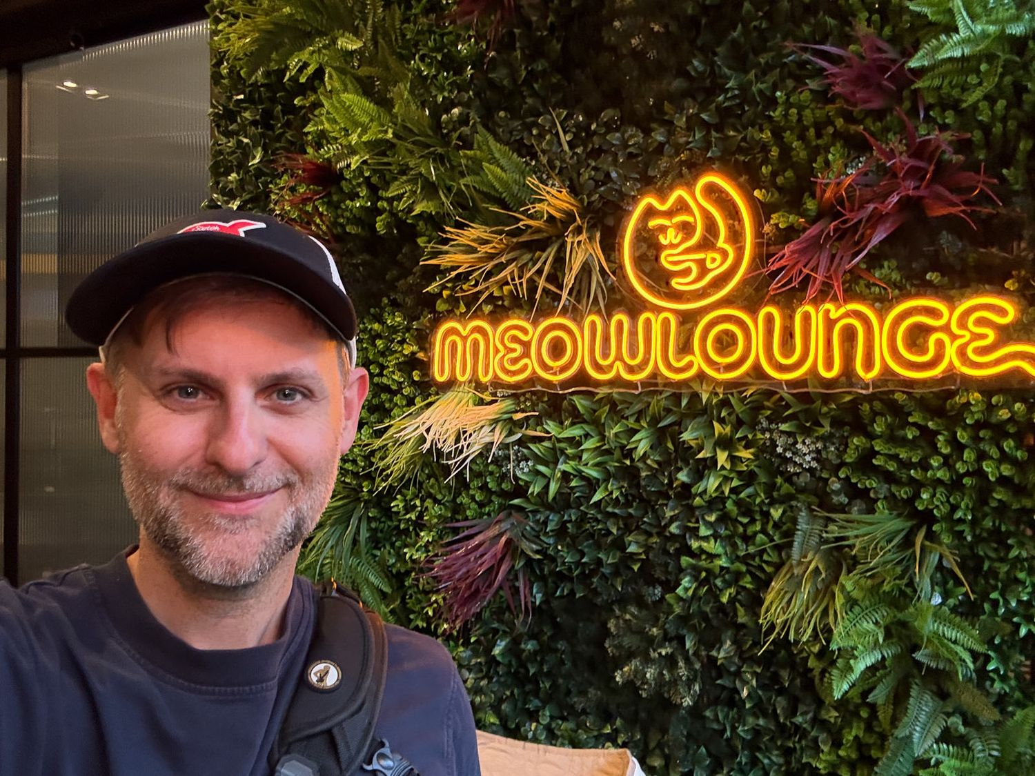 Glowing neon 'Meow Lounge' sign illuminates a lush garden setting with decorative plants at night.