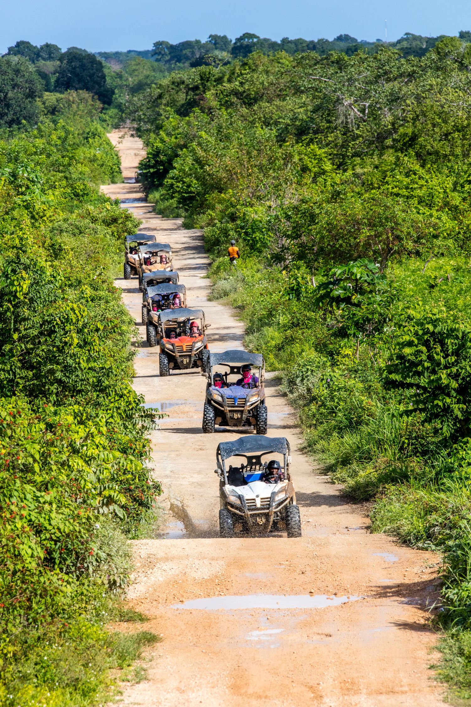 A convoy of off-road buggies drives along a dirt trail surrounded by lush green jungle vegetation under a clear blue sky.