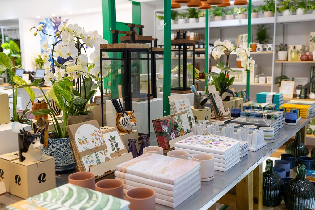 Lifestyle retail photography of RHS Plant Space at Bluewater, showing curated orchids, home decor and giftware styled on an in-store display