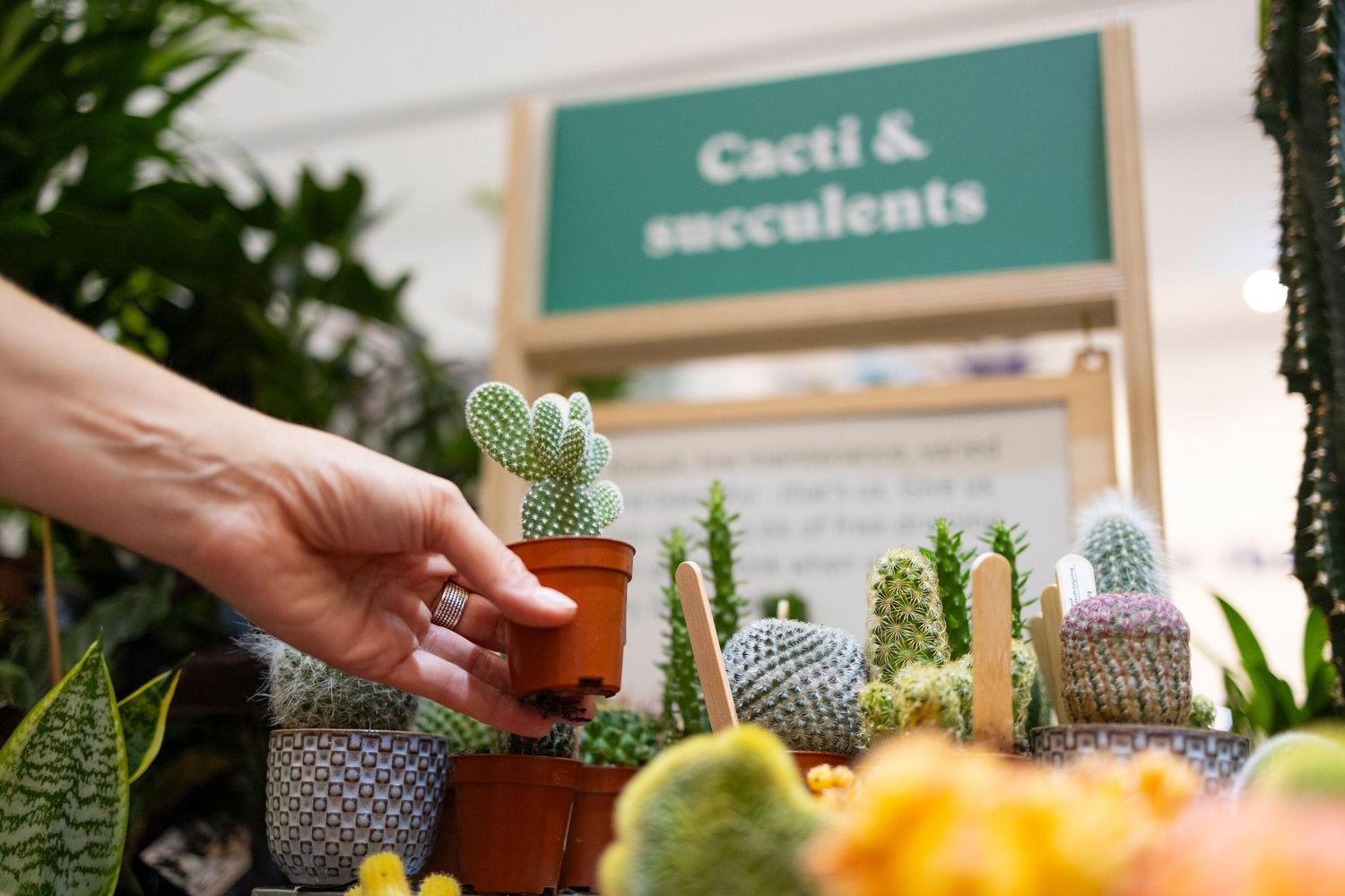 Bright interior of the RHS Plant Space at Bluewater, showing lush plants and gardening products in a modern retail environment.