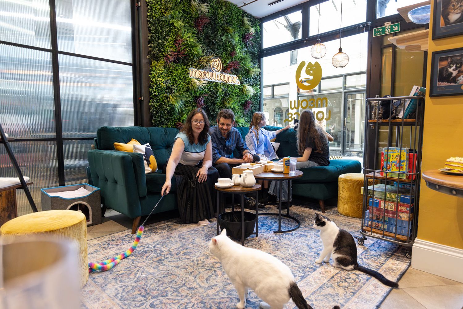 People enjoying drinks and conversation inside a modern cat cafe, Meow Lounge, with a vertical garden wall and two cats lounging nearby.