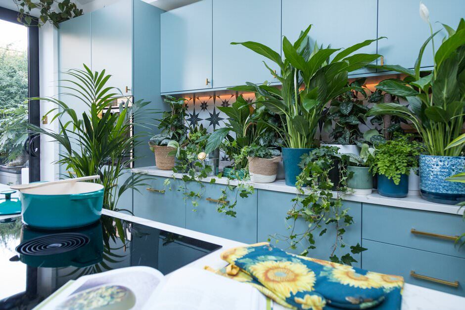 A lifestyle shoot in London of a bright kitchen interior with multiple green plants and natural light streaming through the windows.
