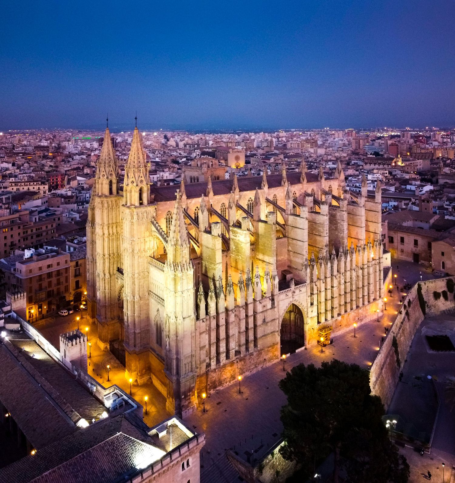 Aerial drone photograph of a historic city cathedral illuminated at night, overlooking the waterfront and city skyline of Palma de Mallorca.