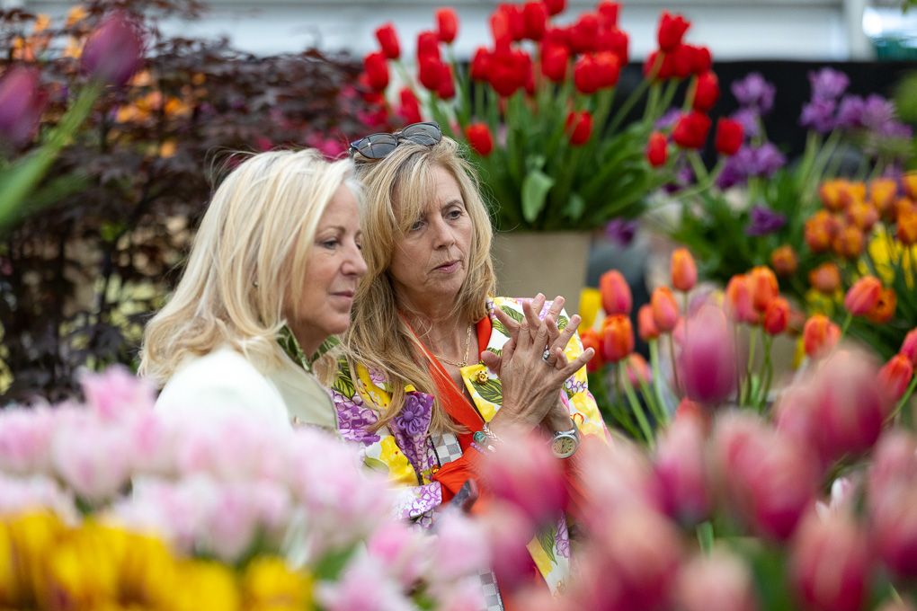 Two women are admiring the tulip display at the Chelsea Flower Show.